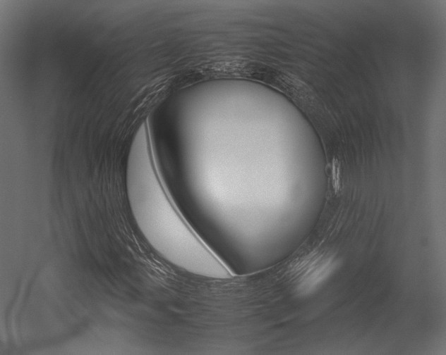 X0000054371107200507290823