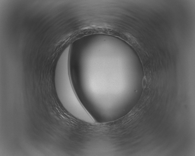 X0000054371110200507290823