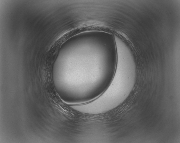 X0000054371112200507290823