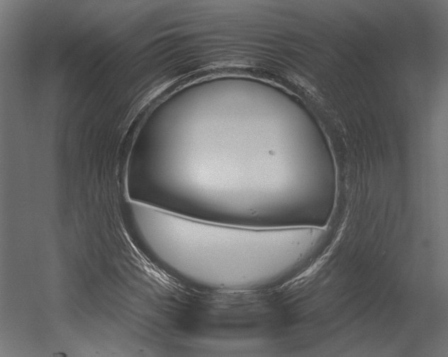 X0000054371113200507290823