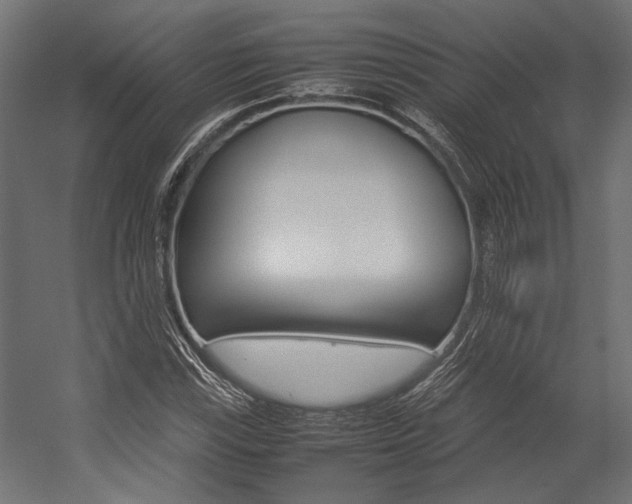 X0000054371115200507290824