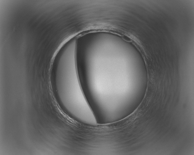 X0000054371120200507290824