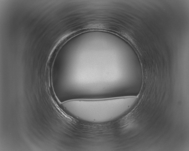 X0000054371123200507290824
