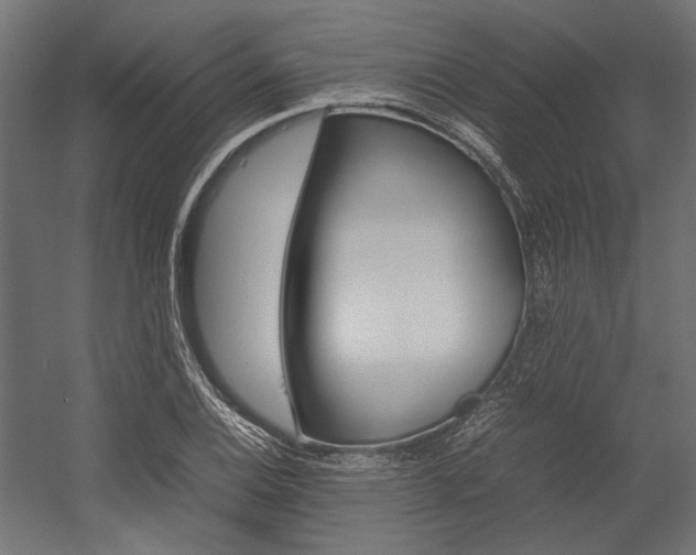 X0000054371124200507290824