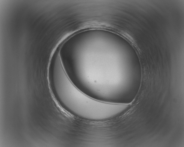 X0000054371128200507290824