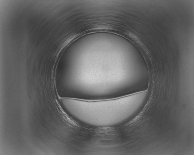 X0000054371129200507290824