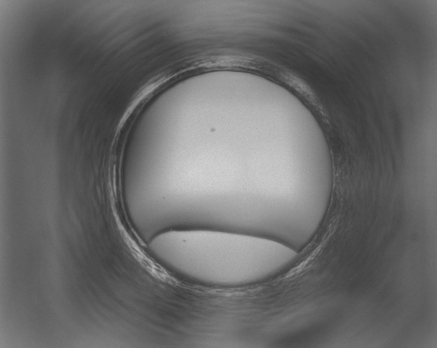 X0000054371130200507290824