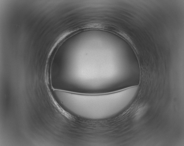 X0000054371131200507290824