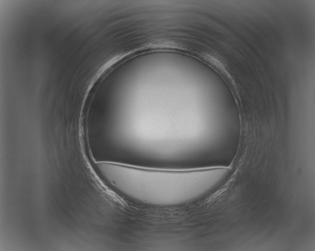 X0000054371133200507290824