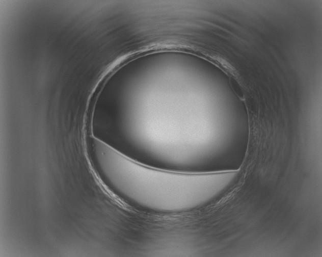 X0000054371134200507290824
