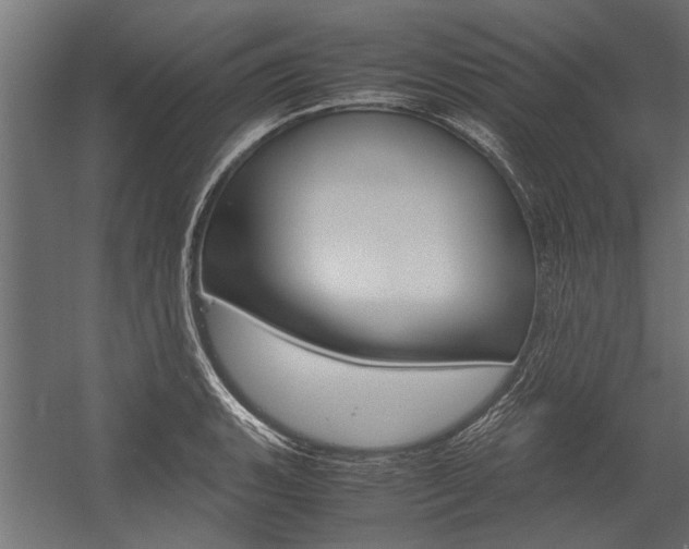 X0000054371135200507290824