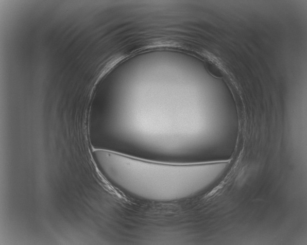X0000054371137200507290824