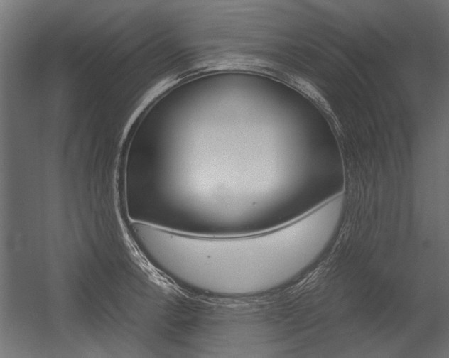 X0000054371138200507290824