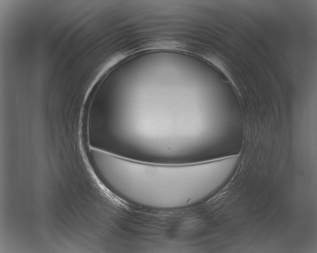 X0000054371139200507290824