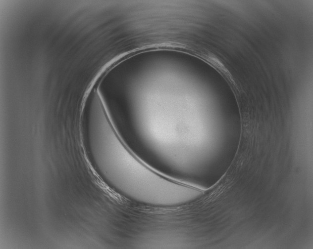 X0000054371140200507290824