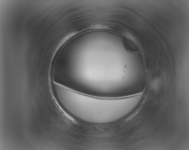 X0000054371141200507290824