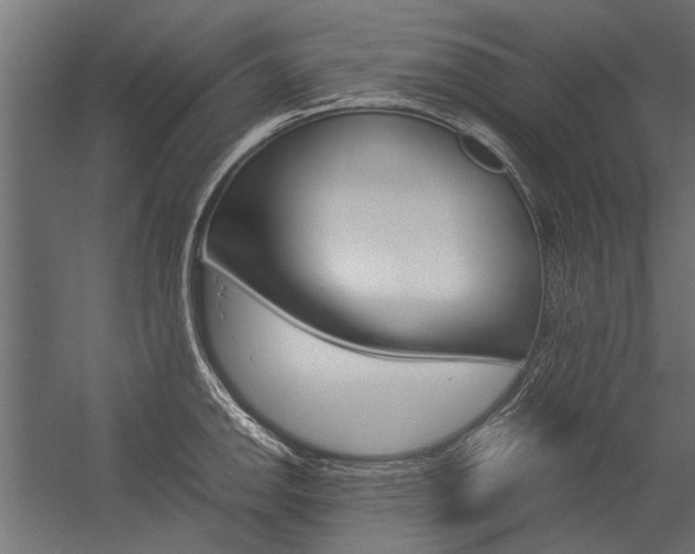 X0000054371142200507290824
