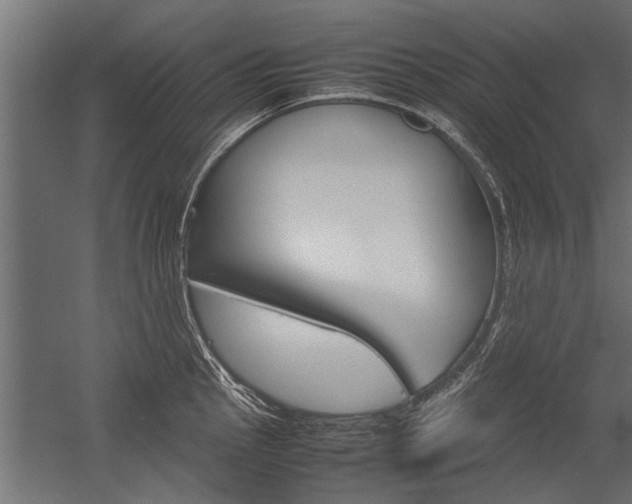 X0000054371145200507290824