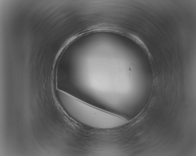 X0000054371146200507290824