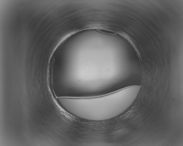 X0000054371147200507290824