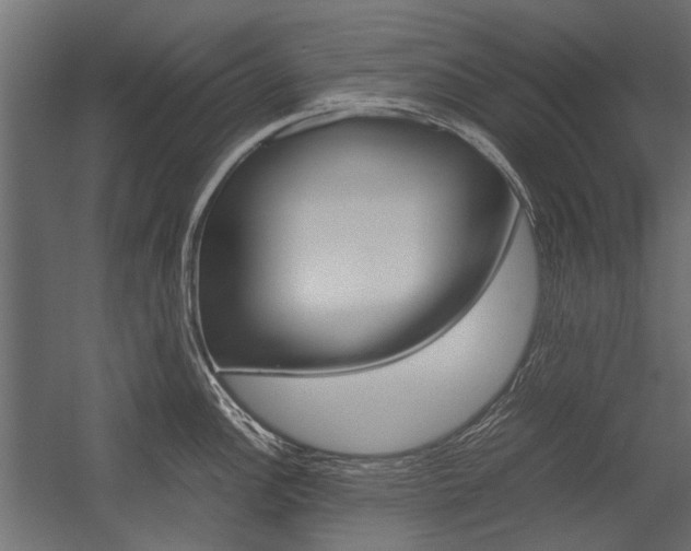 X0000054371148200507290824