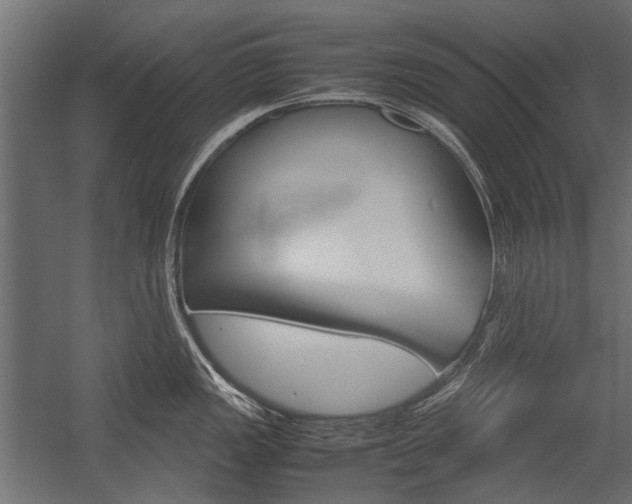 X0000054371149200507290824