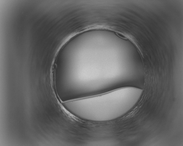 X0000054371151200507290824