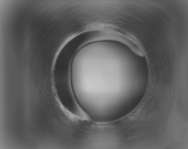 X0000054371152200507290824