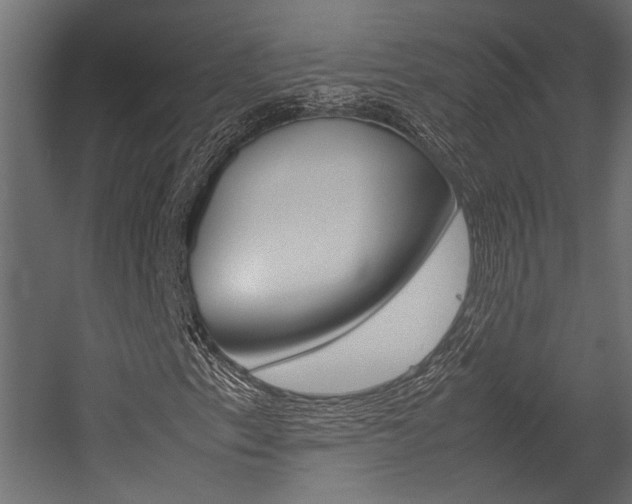 X0000054371153200507290823
