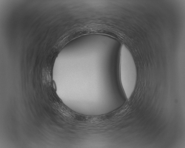 X0000054371155200507290823