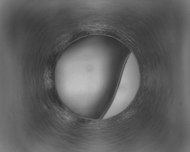 X0000054371156200507290823