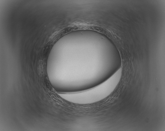 X0000054371157200507290823