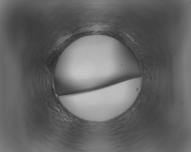 X0000054371158200507290823