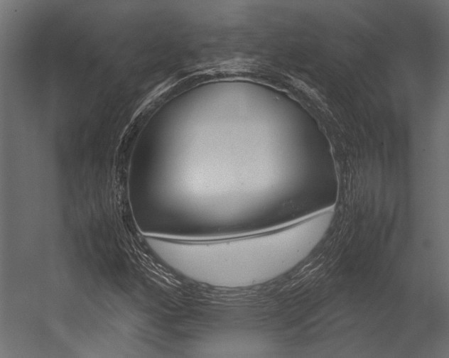 X0000054371160200507290823