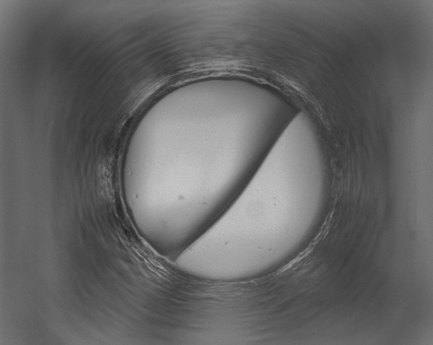 X0000054371162200507290823