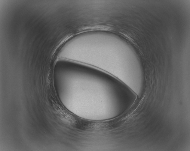 X0000054371163200507290823