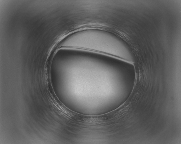 X0000054371164200507290823