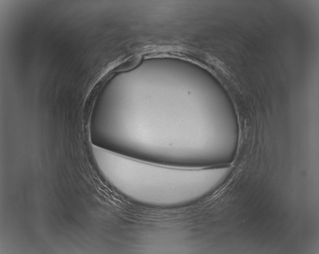 X0000054371165200507290823