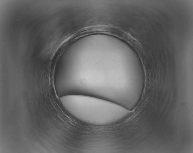 X0000054371166200507290823