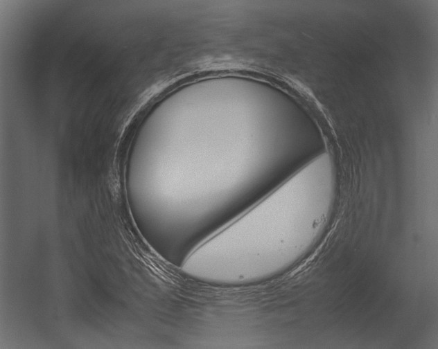 X0000054371167200507290823
