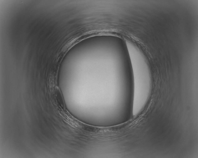 X0000054371169200507290823