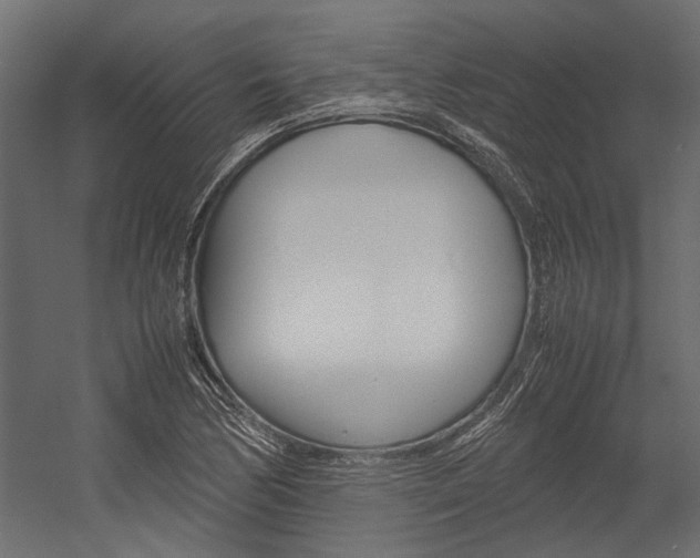 X0000054371170200507290823