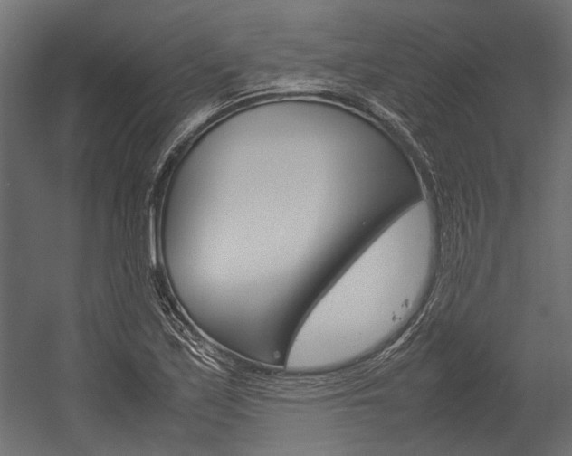 X0000054371171200507290823