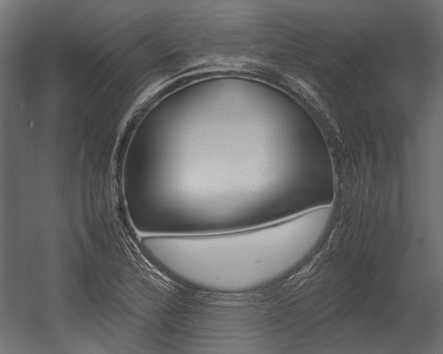 X0000054371172200507290823