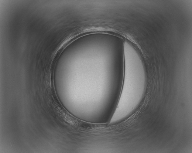 X0000054371173200507290823