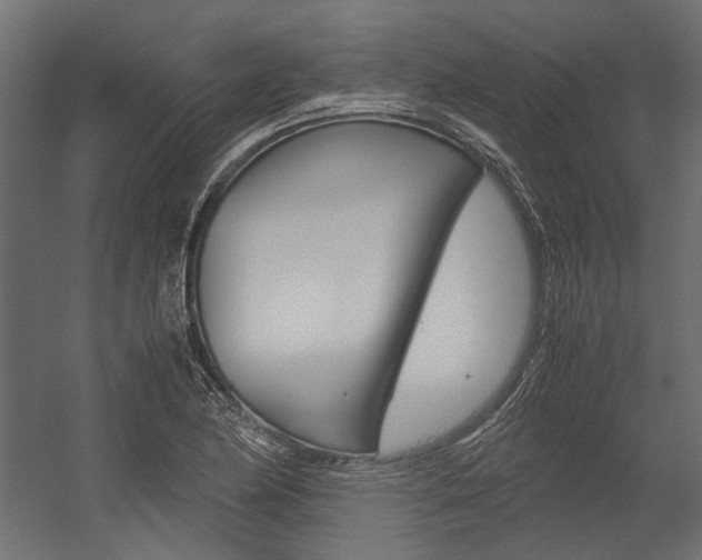 X0000054371174200507290823