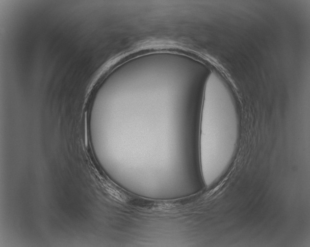 X0000054371175200507290823