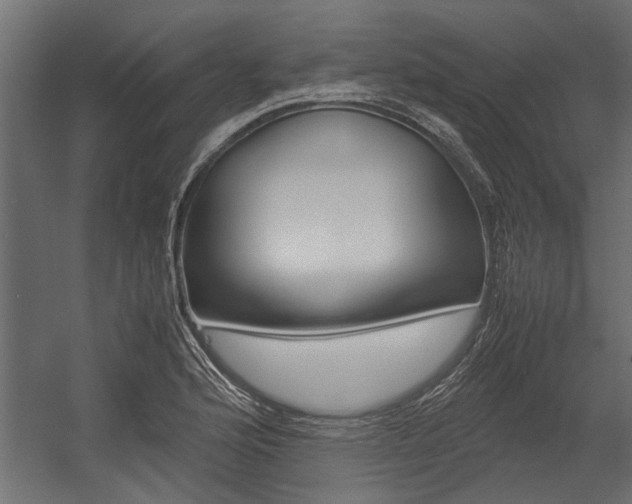 X0000054371176200507290823