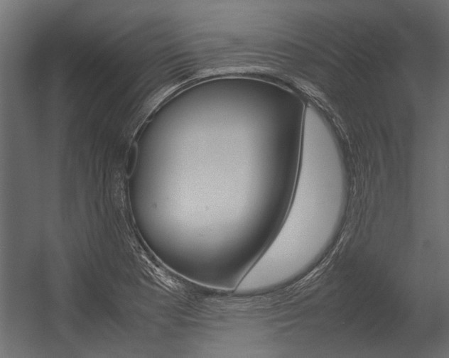 X0000054371177200507290823