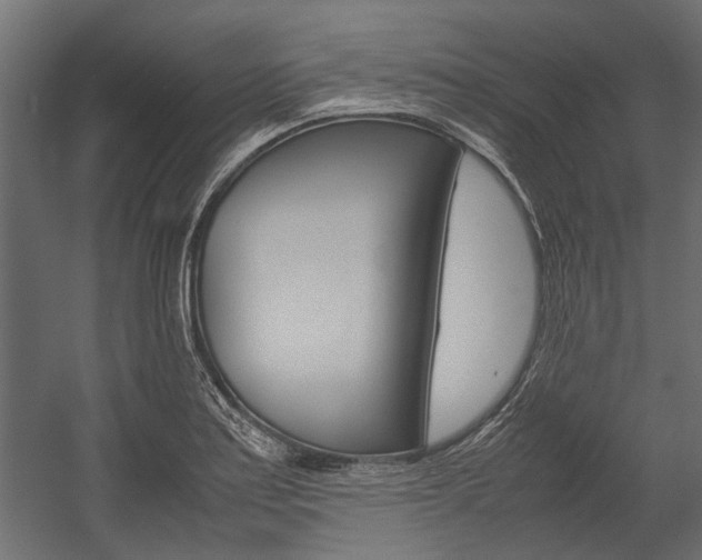 X0000054371179200507290823
